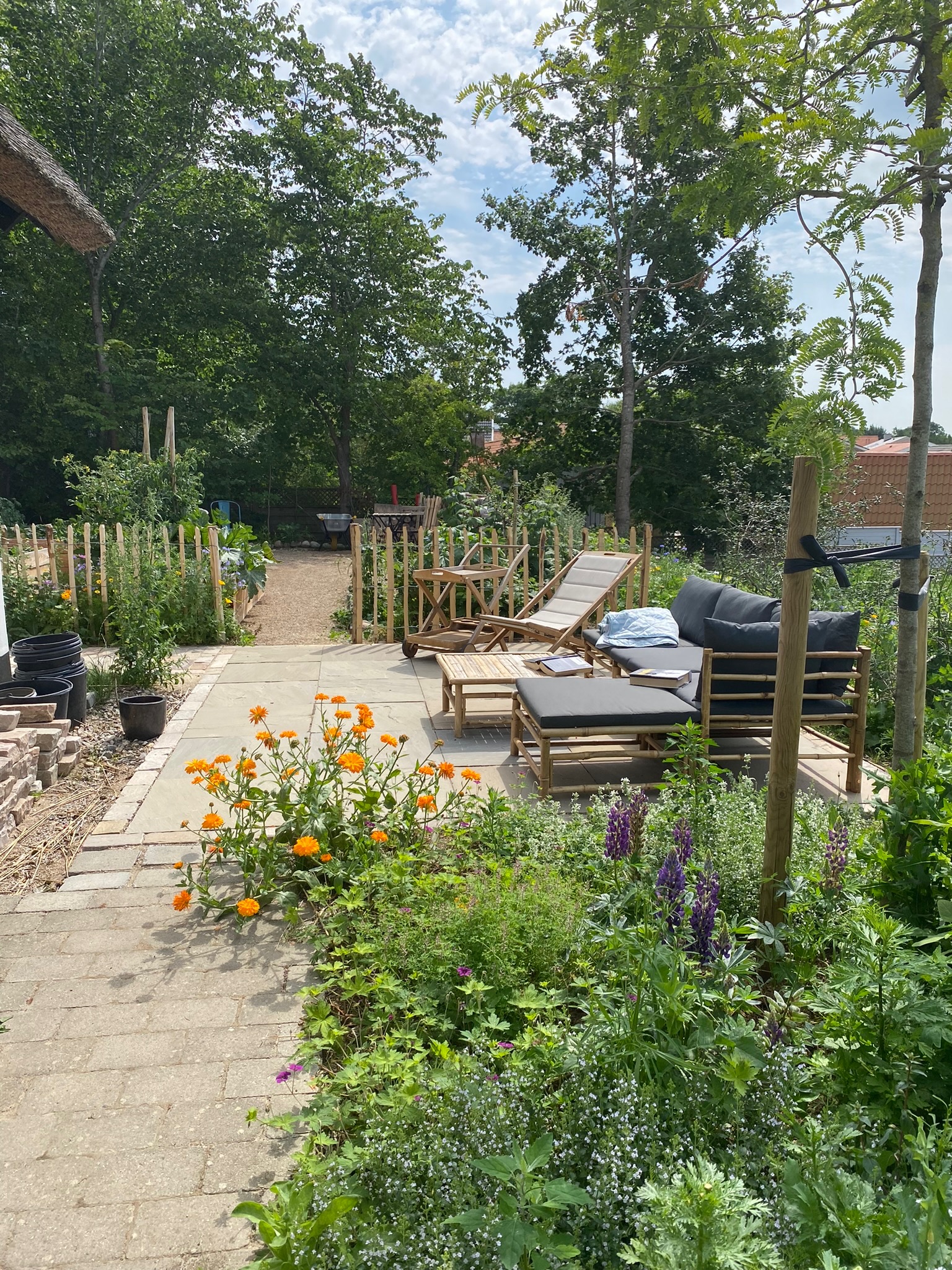 A house garden with layered planting